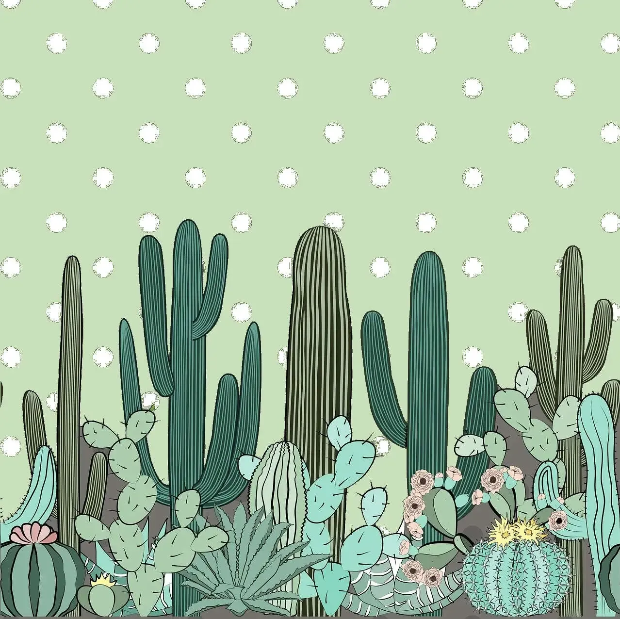 Cultiver des plantes succulentes en intérieur : c’est possible ?