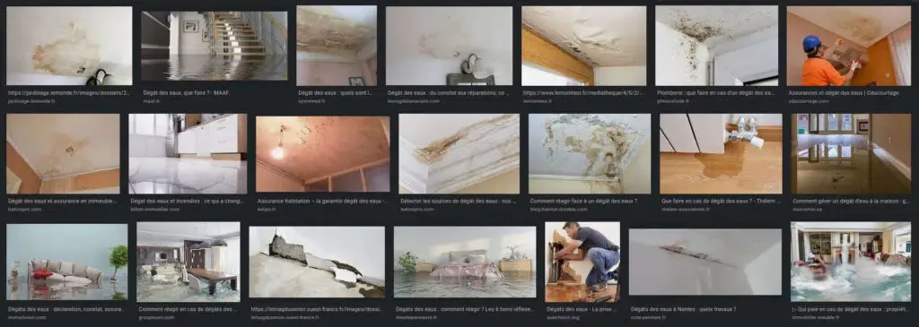 dégatd des eaux que faire